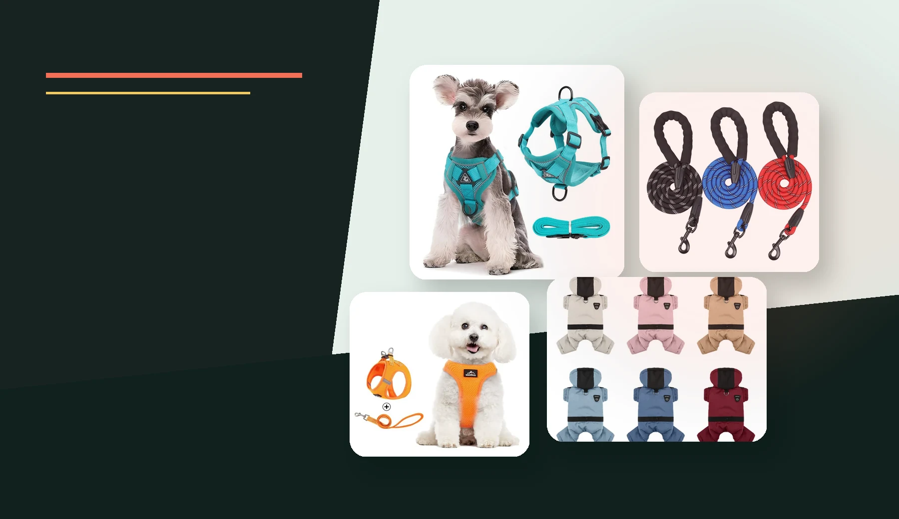 Dog harness, leash, and pet apparel sourcing collection