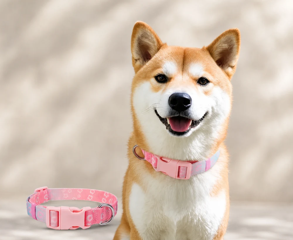 EP-LAC-018 Model 110 Dog Leash or Accessory catalog image
