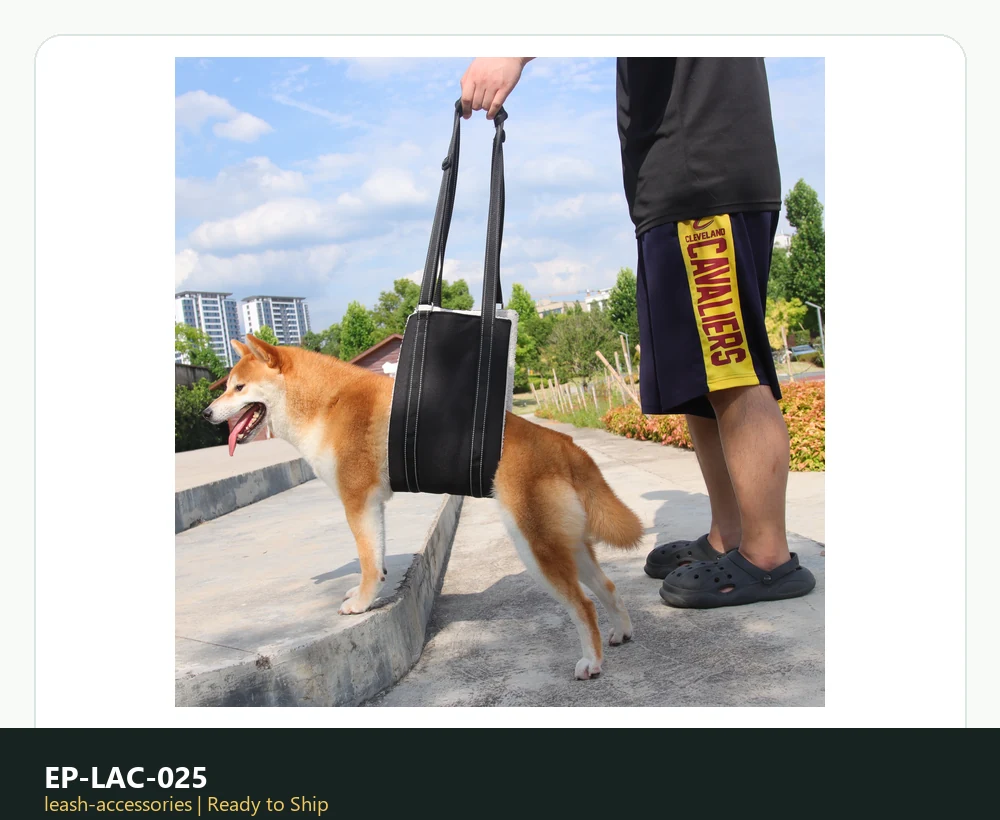 EP-LAC-025 Model Z5003 Dog Leash or Accessory catalog image