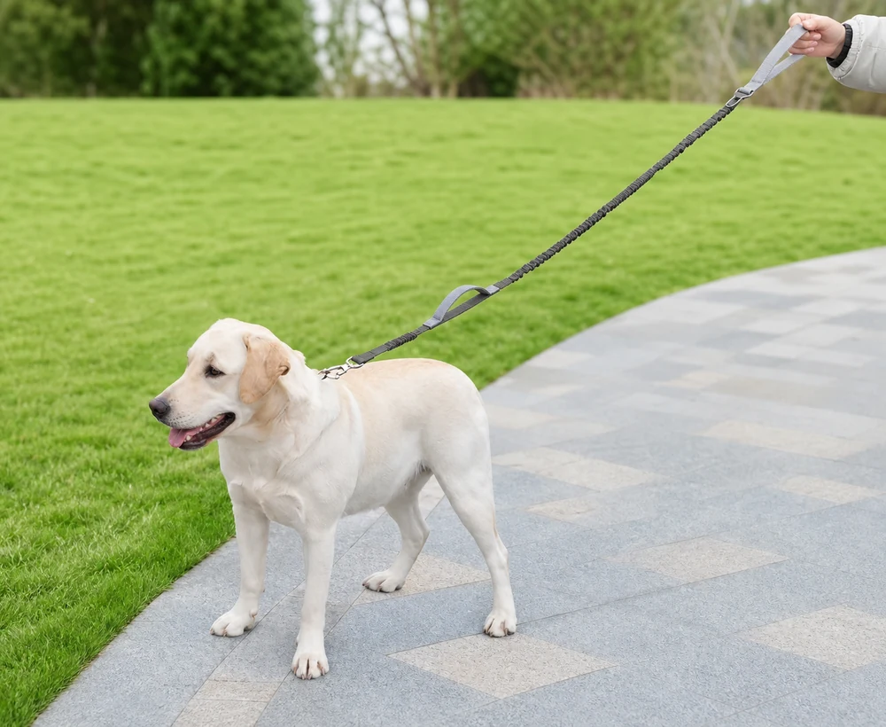 EP-LAC-028 Model 206 Dog Leash or Accessory catalog image