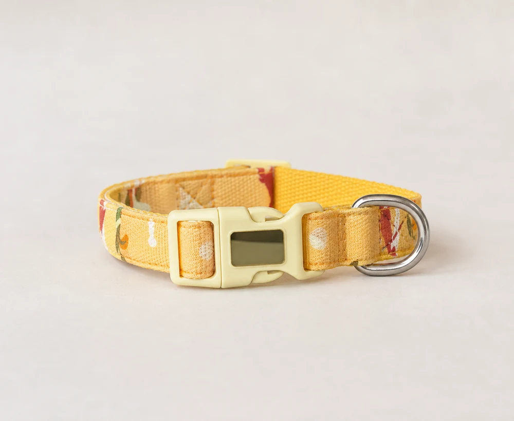 EP-LAC-033 Model 111 Dog Leash or Accessory catalog image