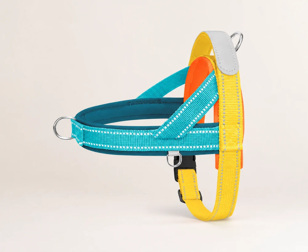 EP-LDH-001 Model 589 Large Dog Harness catalog image