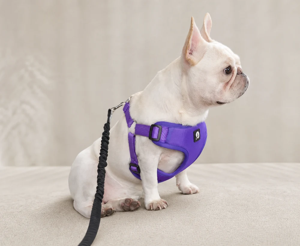 EP-LDH-015 Model 560 Large Dog Harness catalog image