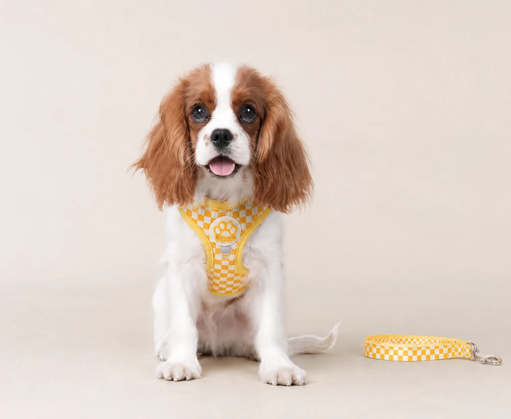 EP-SDH-007 Model 8031 Small Dog Harness catalog image