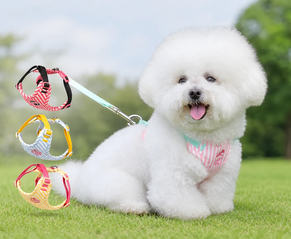 EP-SDH-009 Model 8021 Small Dog Harness catalog image