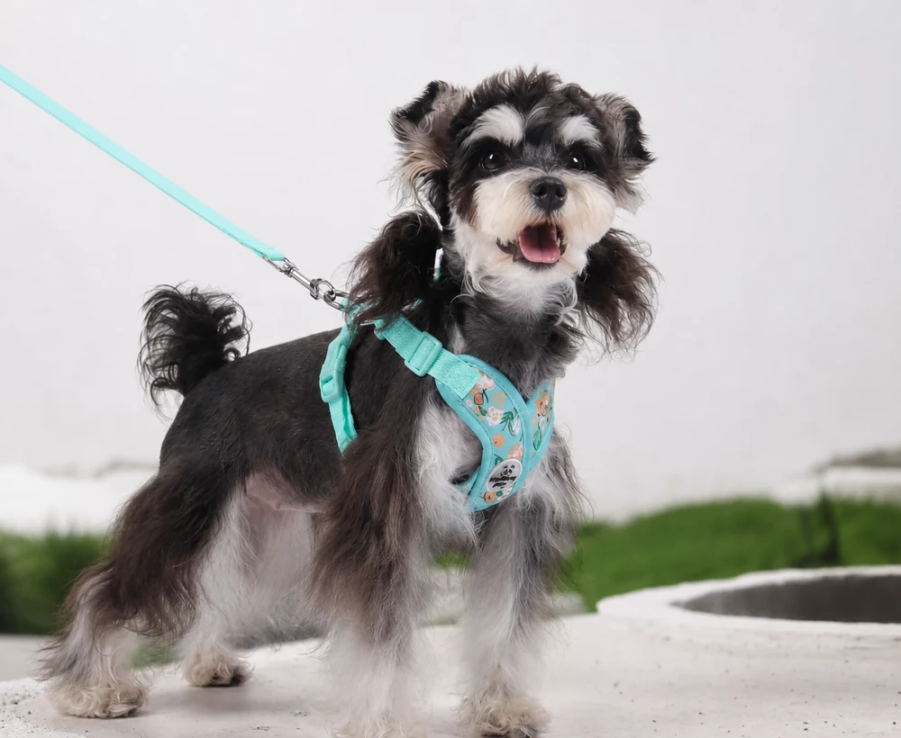 EP-SDH-015 Model 8015 Small Dog Harness catalog image