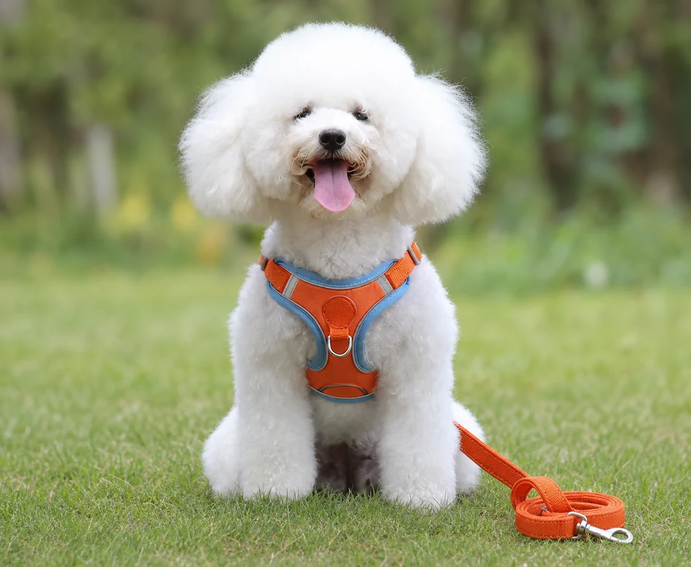 EP-SDH-026 Model 867 Small Dog Harness catalog image
