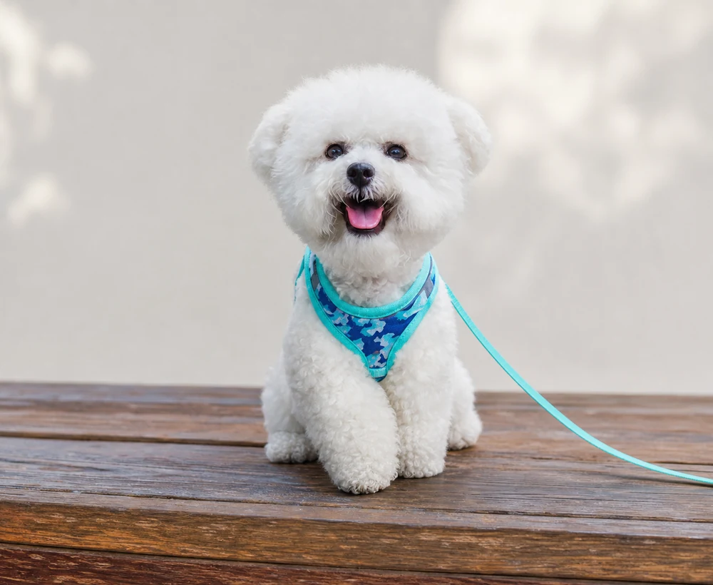 EP-SDH-032 Model 895 Small Dog Harness catalog image