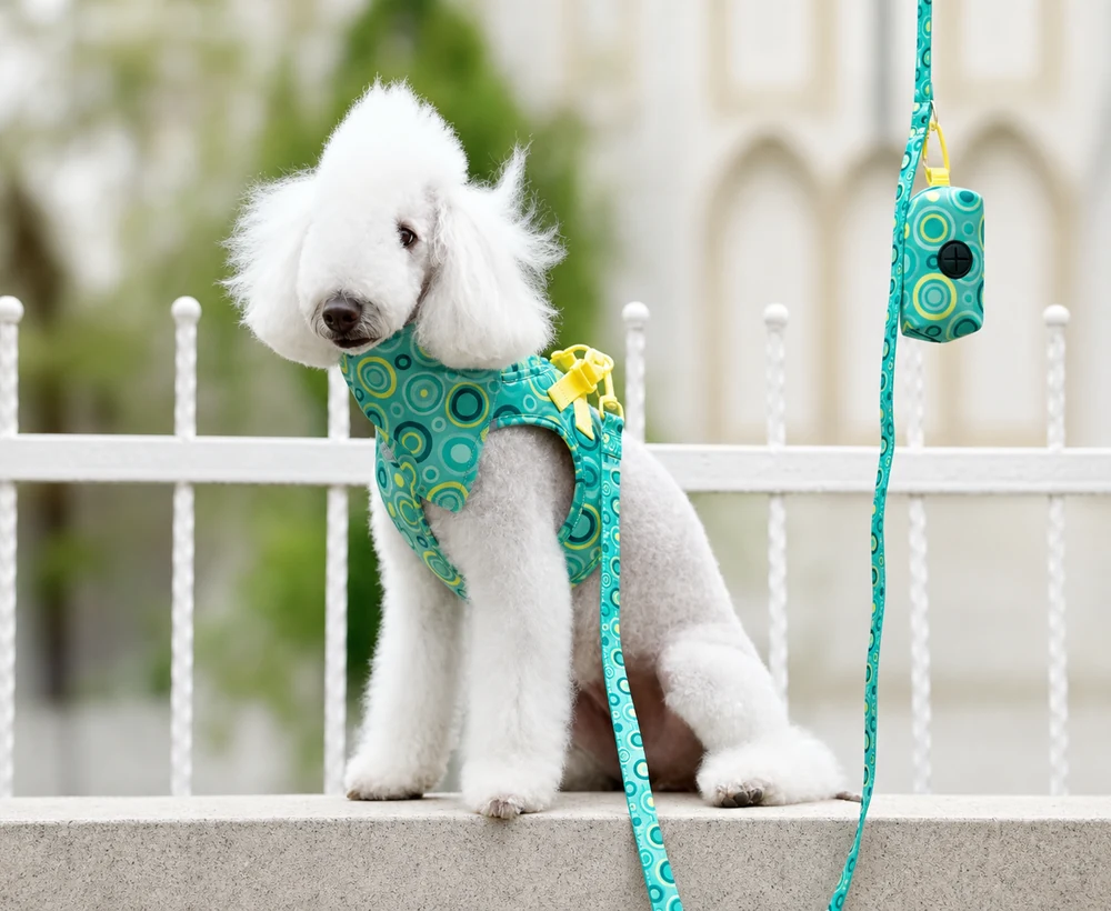EP-SDH-036 Model 8002 Small Dog Harness catalog image