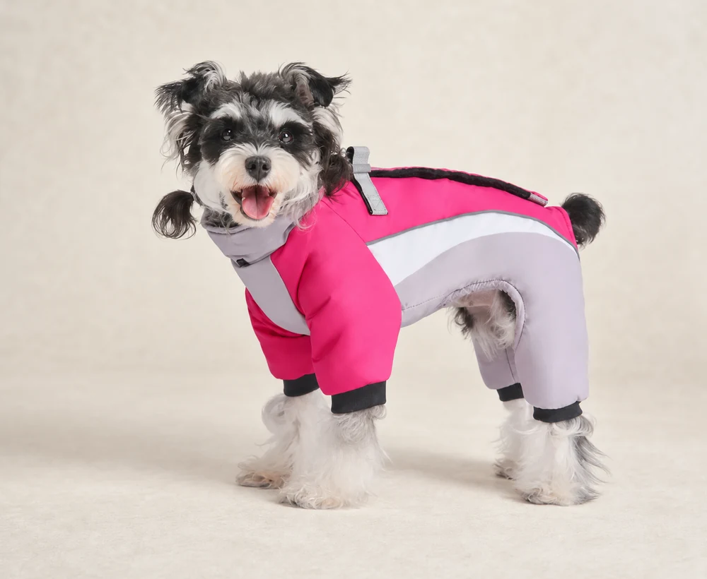 When should I start winter dog apparel sourcing? illustration for Value Winter Apparel