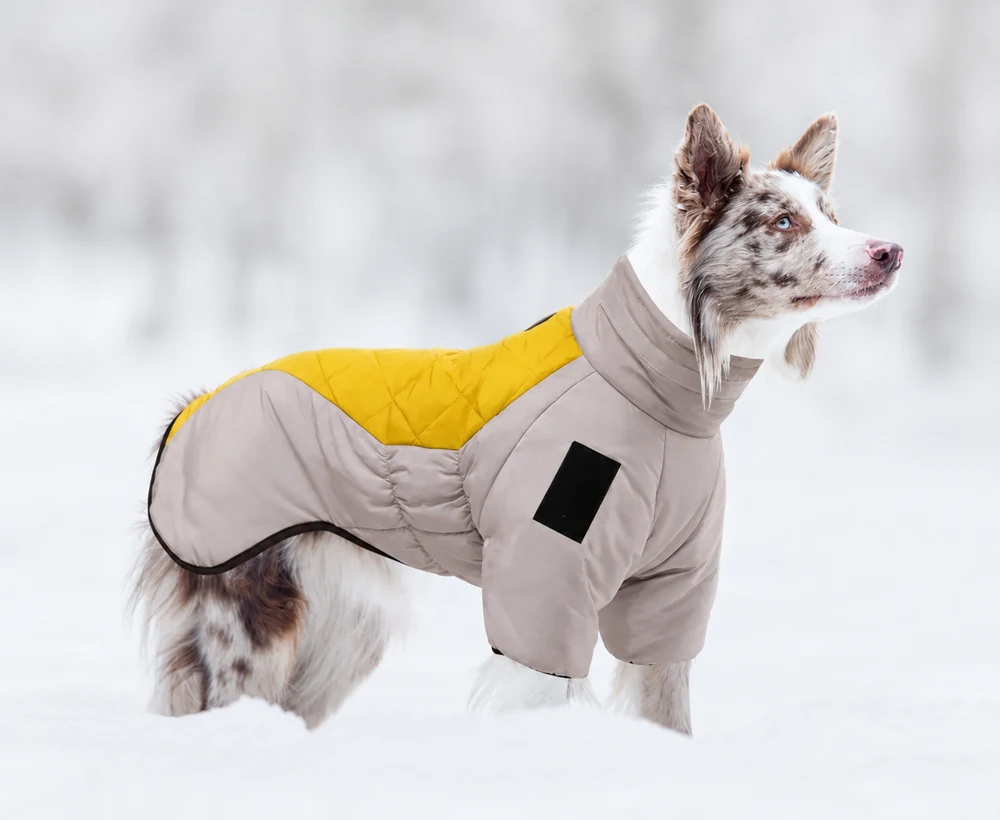 What warmth details matter most to buyers? illustration for Value Winter Apparel